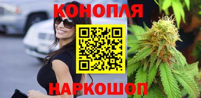 СК Севастополь