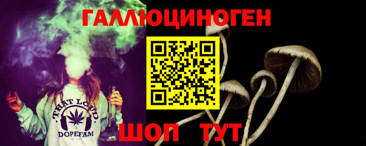 Псилоцибиновые грибы MAGIC MUSHROOMS Россошь