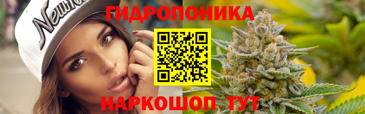 МАРИХУАНА план Россошь